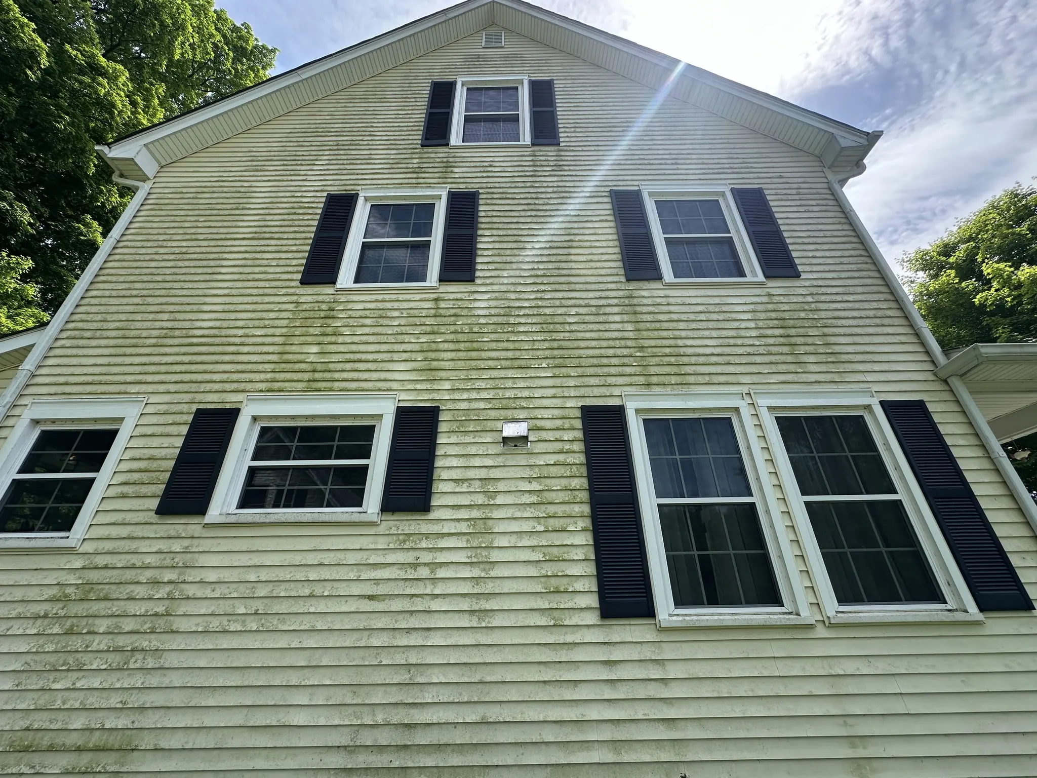 Yellow vinyl siding on a house gable streaked with green mildew
