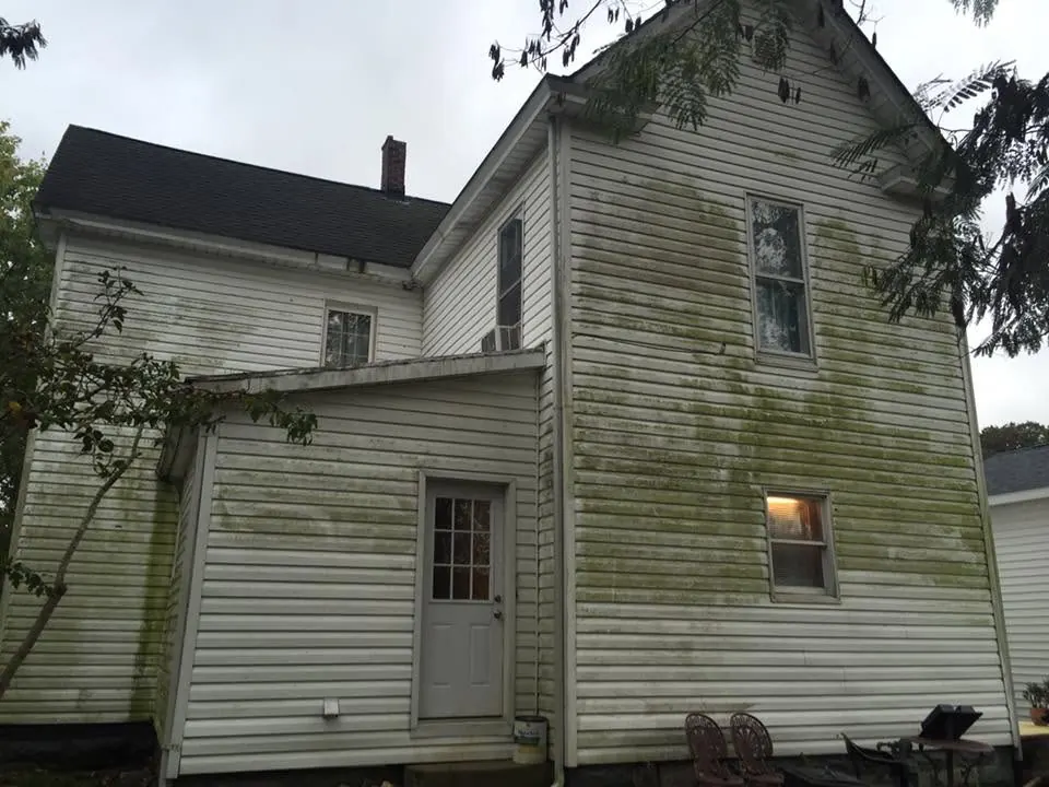 Back of a white two-story house with green mildew on the siding